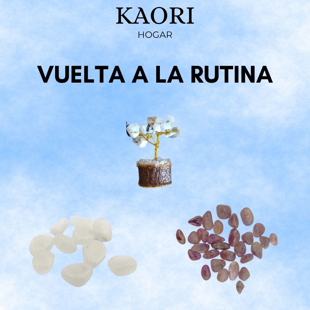 PACK VUELTA A LA RUTINA