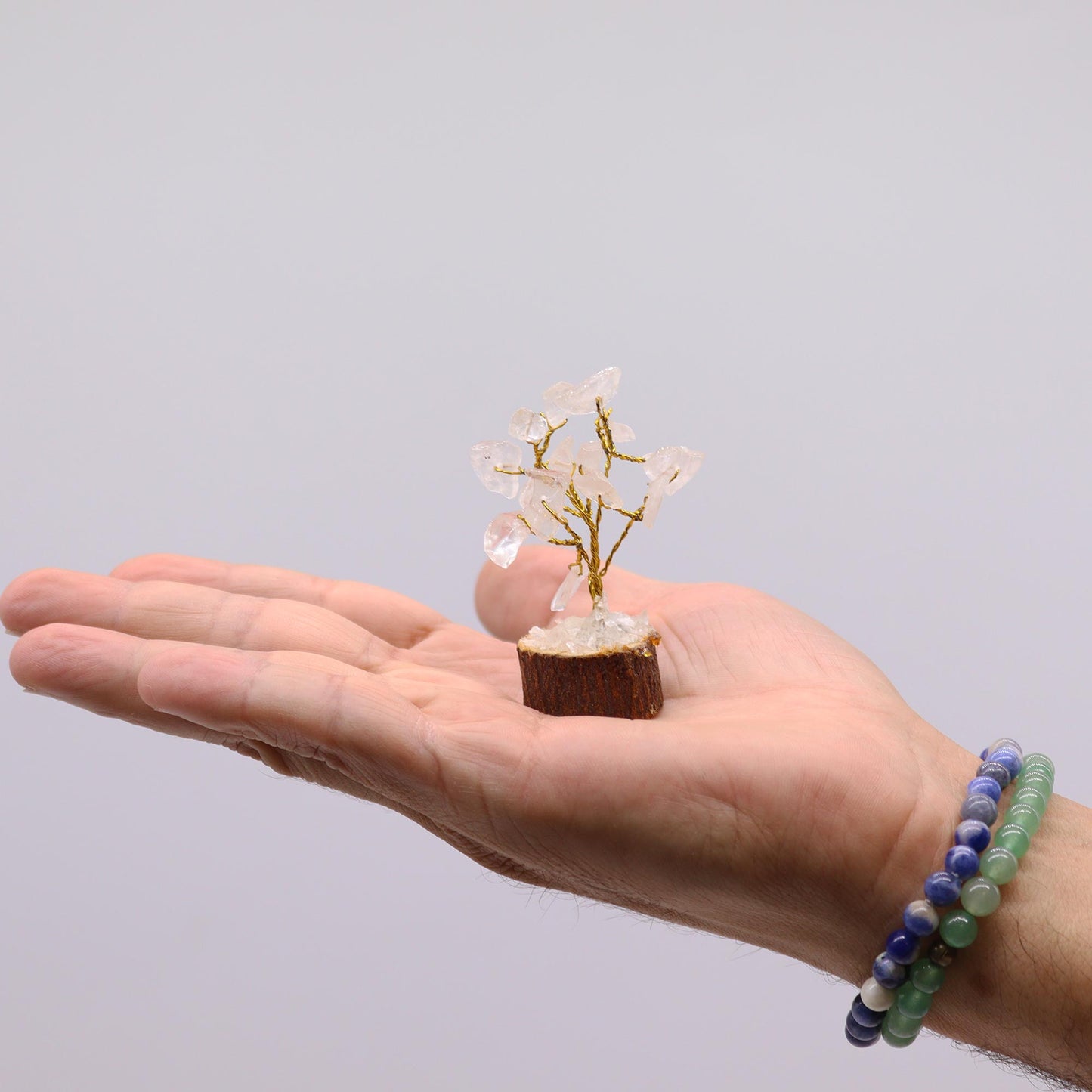 MINI ÁRBOL (A ELEGIR) SOBRE BASE DE MADERA
