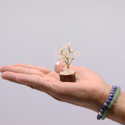 MINI ÁRBOL (A ELEGIR) SOBRE BASE DE MADERA