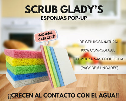 SCRUB GLADY'S - PACK 5 ESPONJAS