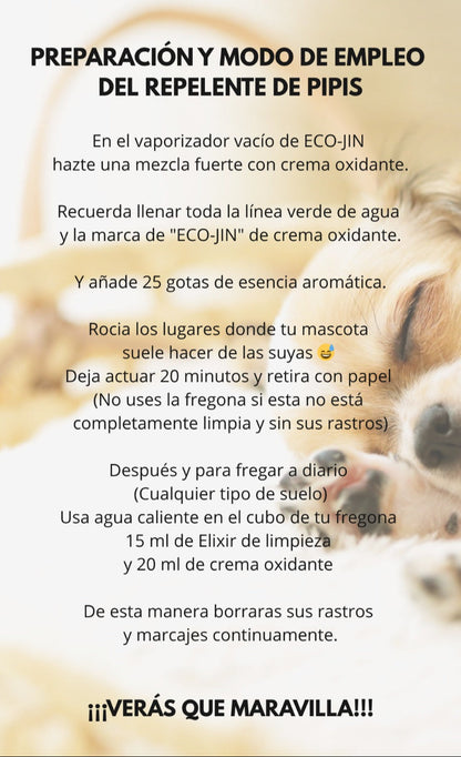 PACK CHAO OLOR: FREGASUELOS + OXIDANTE + ESENCIA EUCALIPTO + DIFUSOR + CEPILLO TEXTIL