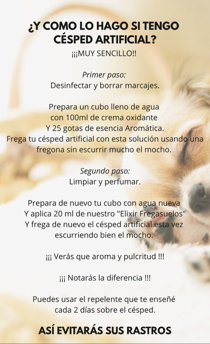 PACK CHAO OLOR: FREGASUELOS + OXIDANTE + ESENCIA EUCALIPTO + DIFUSOR + CEPILLO TEXTIL