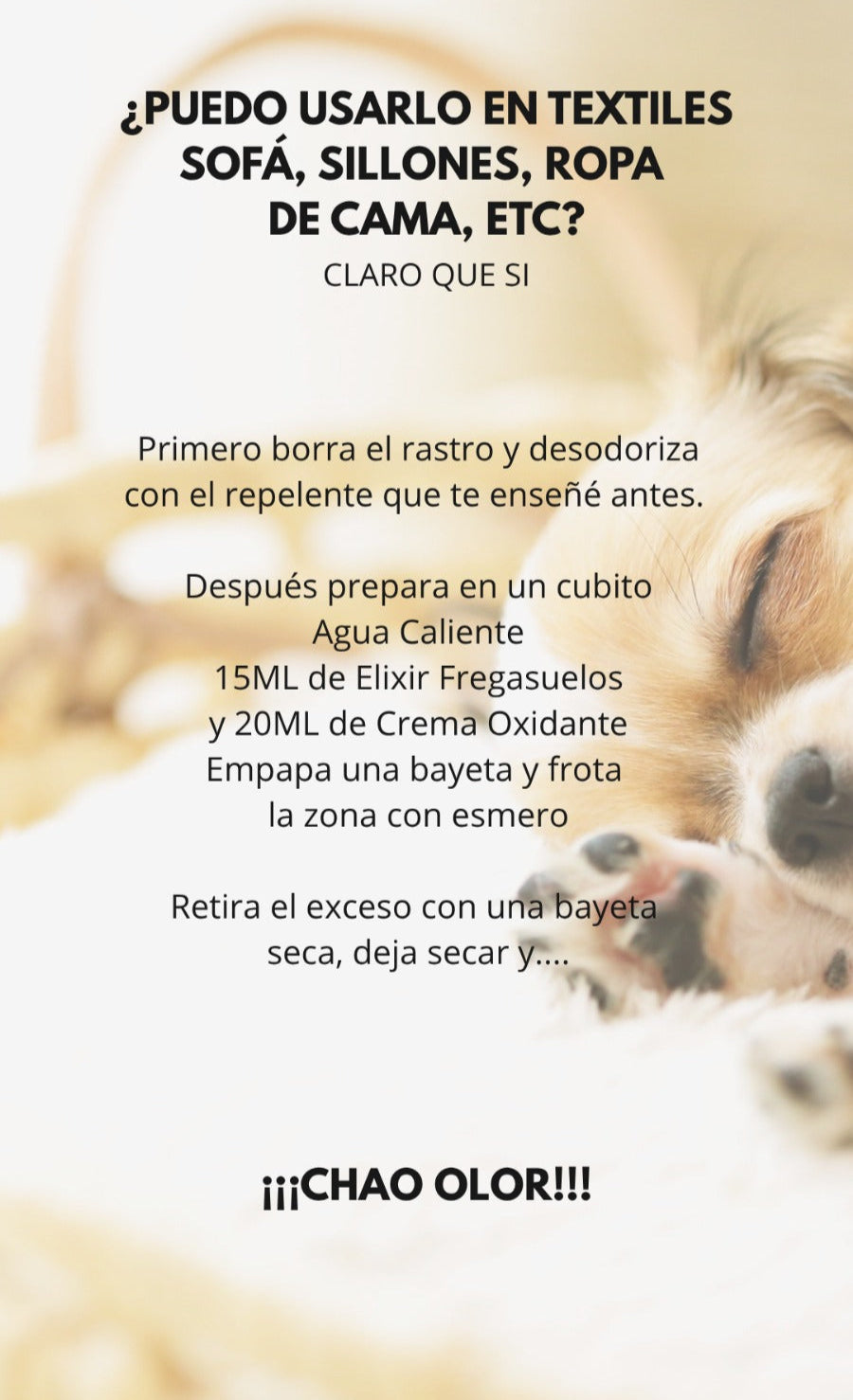 PACK CHAO OLOR: FREGASUELOS + OXIDANTE + ESENCIA EUCALIPTO + DIFUSOR + CEPILLO TEXTIL