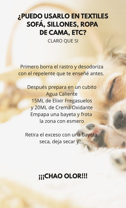 PACK CHAO OLOR: FREGASUELOS + OXIDANTE + ESENCIA EUCALIPTO + DIFUSOR + CEPILLO TEXTIL