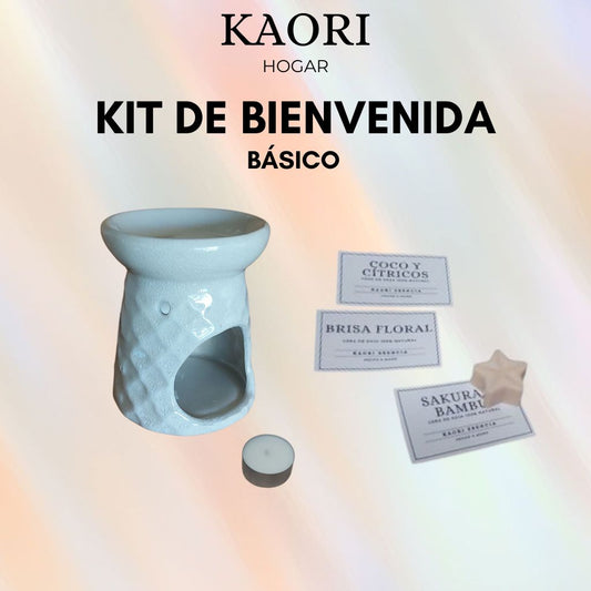 WAX MELTS - KIT DE BIENVENIDA BÁSICO