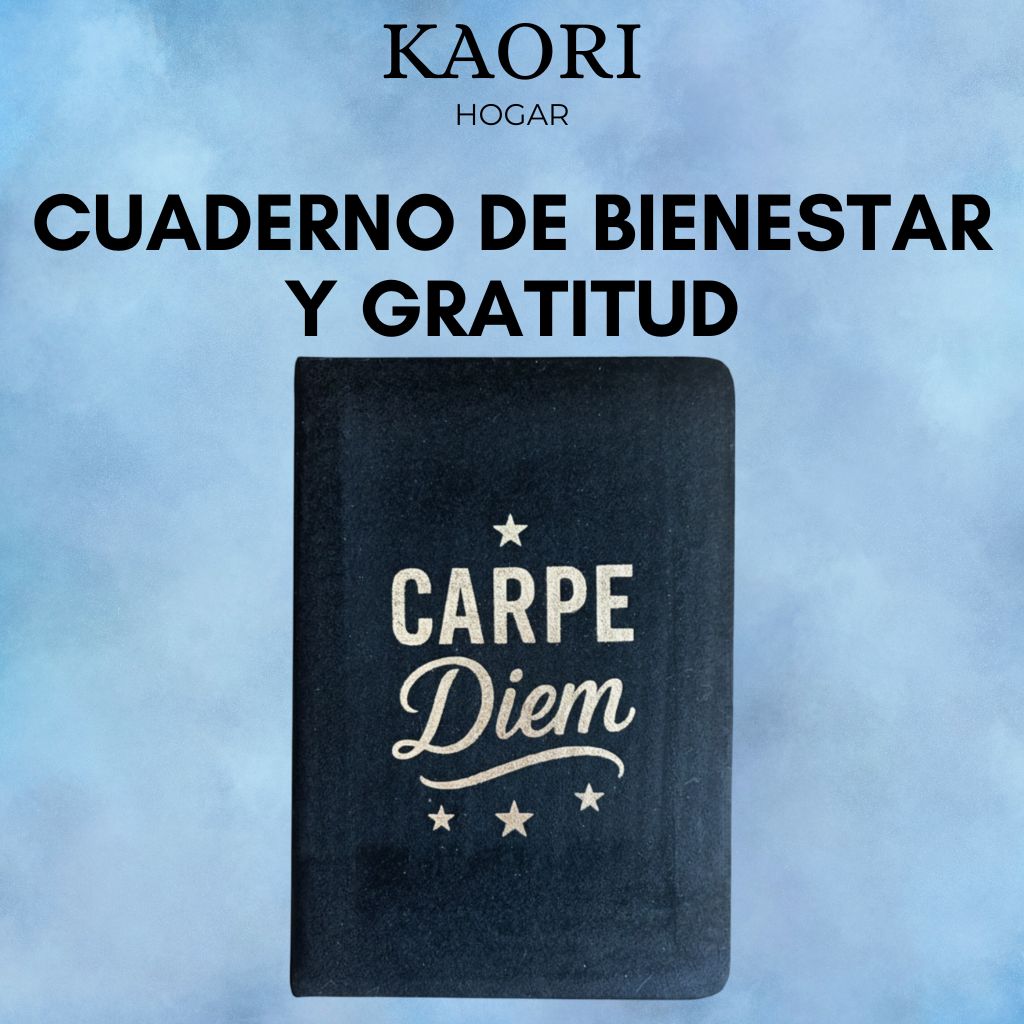 CUADERNO DE BIENESTAR Y GRATITUD - APROVECHA EL DÍA - 80 PÁGINAS