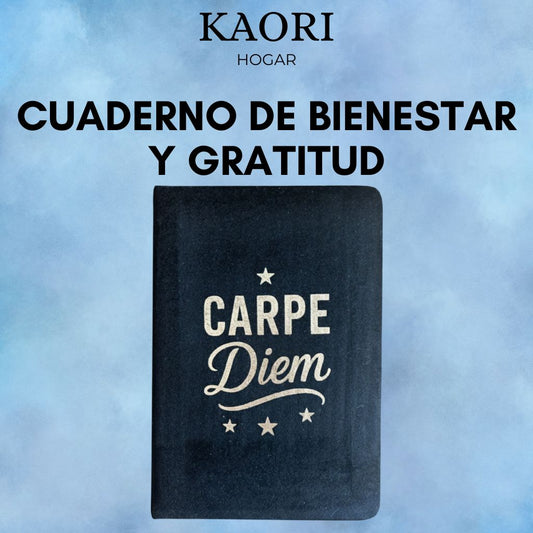 CUADERNO DE BIENESTAR Y GRATITUD - APROVECHA EL DÍA - 80 PÁGINAS