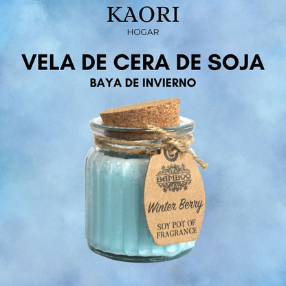 VELA DE CERA DE SOJA EN TARRO - BAYA DE INVIERNO