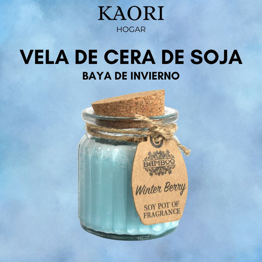 VELA DE CERA DE SOJA EN TARRO - BAYA DE INVIERNO