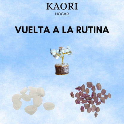 PACK VUELTA A LA RUTINA