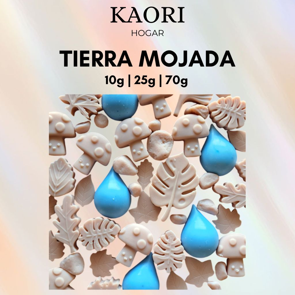 TIERRA MOJADA - WAX MELTS DE SOJA 100% NATURAL CON ESENCIA PREMIUM