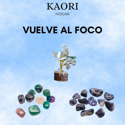 PACK VUELVE AL FOCO - FLUORITA, SODALITA, CUARZO DE ROCA