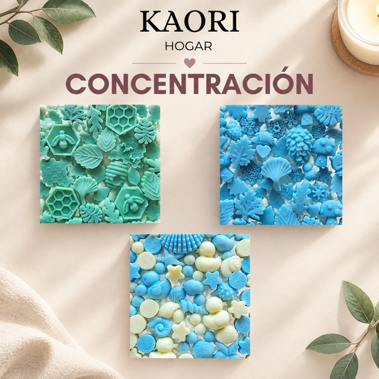 PACK CONCENTRACIÓN - TÉ MATCHA Y MIEL, BOSQUE NEVADO, FRESCURA MARINA