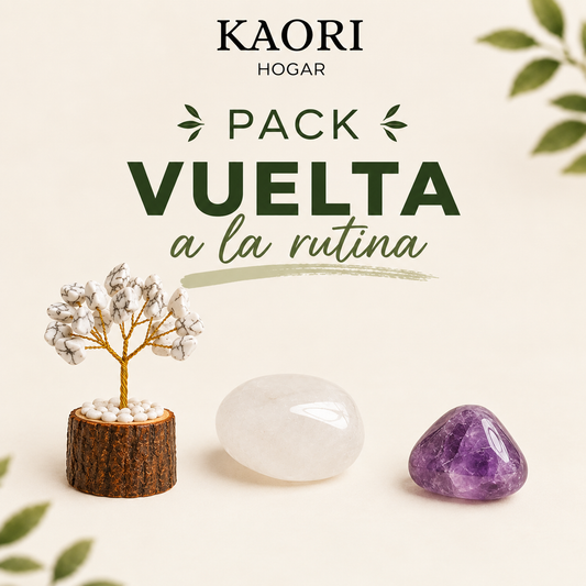 PACK VUELTA A LA RUTINA