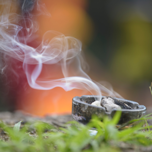 BOMBAS DE DIFUSIÓN - BANJARA - PACHULÍ